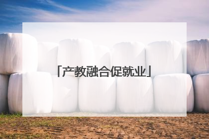 产教融合促就业