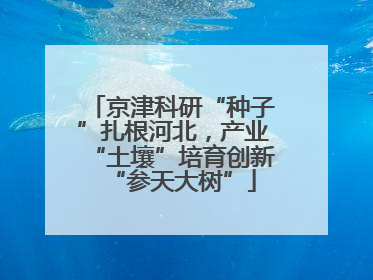 京津科研“种子”扎根河北，产业“土壤”培育创新“参天大树”