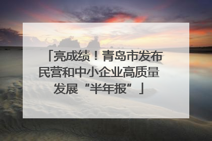 亮成绩！青岛市发布民营和中小企业高质量发展“半年报”