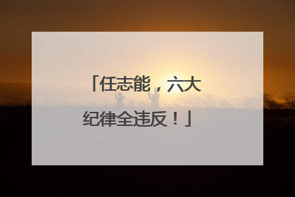 任志能，六大纪律全违反！