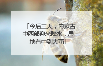 今后三天，内蒙古中西部迎来降水，局地有中到大雨