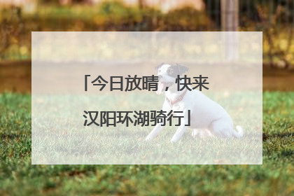 今日放晴，快来汉阳环湖骑行