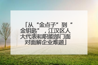 从“金点子”到“金钥匙”，江汉区人大代表和职能部门面对面解企业难题