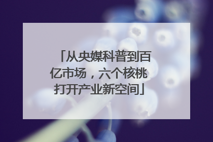 从央媒科普到百亿市场，六个核桃打开产业新空间
