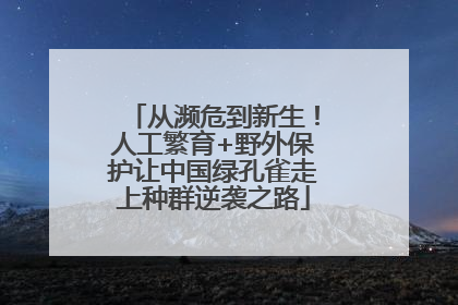 从濒危到新生！人工繁育+野外保护让中国绿孔雀走上种群逆袭之路