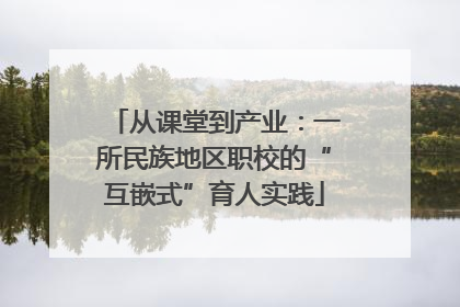 从课堂到产业：一所民族地区职校的“互嵌式”育人实践