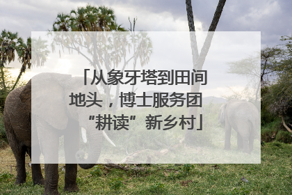 从象牙塔到田间地头，博士服务团“耕读”新乡村