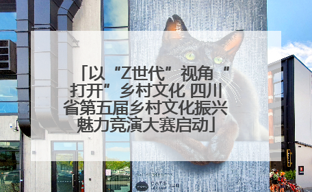 以“Z世代”视角“打开”乡村文化 四川省第五届乡村文化振兴魅力竞演大赛启动