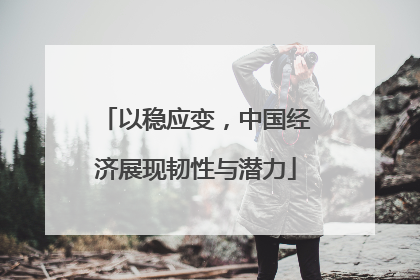 以稳应变，中国经济展现韧性与潜力