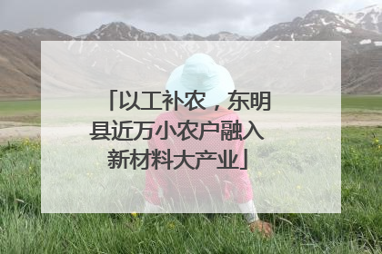 以工补农，东明县近万小农户融入新材料大产业