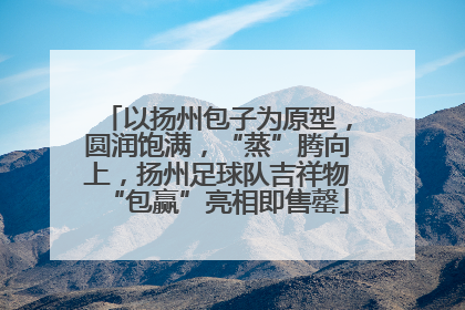 以扬州包子为原型，圆润饱满，“蒸”腾向上，扬州足球队吉祥物“包赢”亮相即售罄
