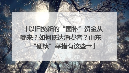 以旧换新的“国补”资金从哪来？如何抵达消费者？山东“硬核”举措有这些→