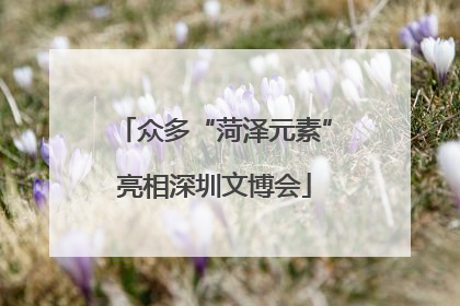 众多“菏泽元素”亮相深圳文博会