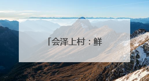 会泽上村：鲜花铺就增收路