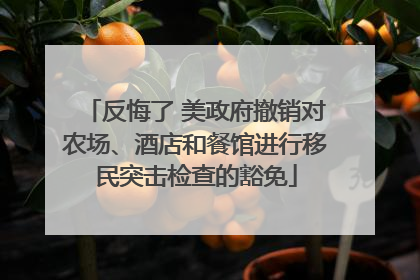 反悔了 美政府撤销对农场、酒店和餐馆进行移民突击检查的豁免