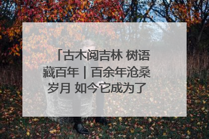 古木阅吉林 树语藏百年｜百余年沧桑岁月 如今它成为了“镇园之宝”