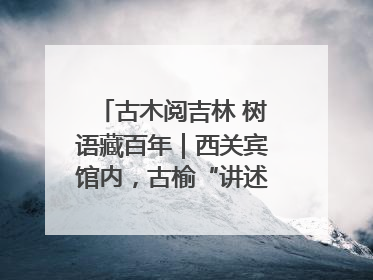 古木阅吉林 树语藏百年｜西关宾馆内，古榆“讲述”时光絮语