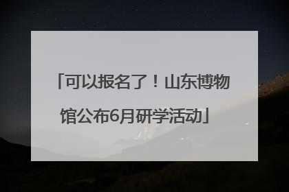 可以报名了！山东博物馆公布6月研学活动