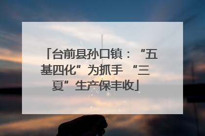 台前县孙口镇：“五基四化”为抓手 “三夏”生产保丰收