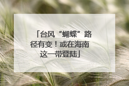 台风“蝴蝶”路径有变！或在海南这一带登陆