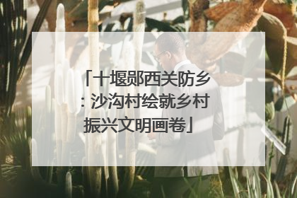 十堰郧西关防乡：沙沟村绘就乡村振兴文明画卷