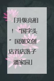 升级亮相！“国字头”国潮文创店首店落子潘家园