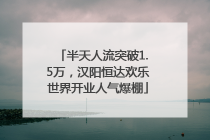 半天人流突破1.5万，汉阳恒达欢乐世界开业人气爆棚