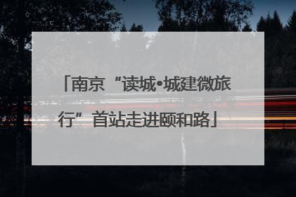 南京“读城•城建微旅行”首站走进颐和路