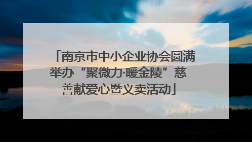 南京市中小企业协会圆满举办“聚微力·暖金陵”慈善献爱心暨义卖活动