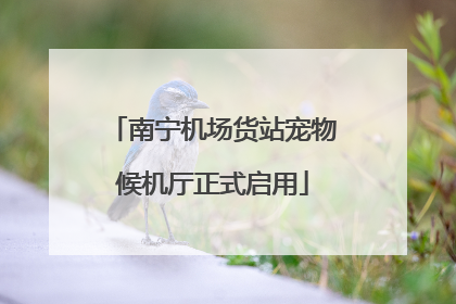南宁机场货站宠物候机厅正式启用