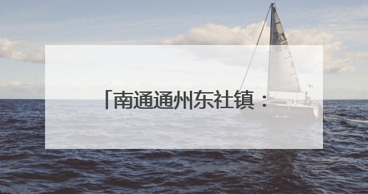 南通通州东社镇：“五一”返乡，党员们“归巢”学习