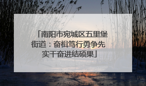 南阳市宛城区五里堡街道：奋楫笃行勇争先 实干奋进结硕果