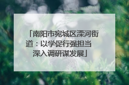 南阳市宛城区溧河街道：以学促行强担当 深入调研谋发展