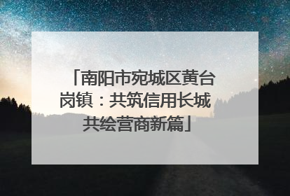 南阳市宛城区黄台岗镇：共筑信用长城 共绘营商新篇