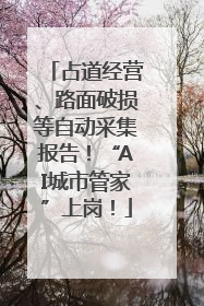 占道经营、路面破损等自动采集报告！“AI城市管家”上岗！