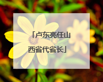 卢东亮任山西省代省长