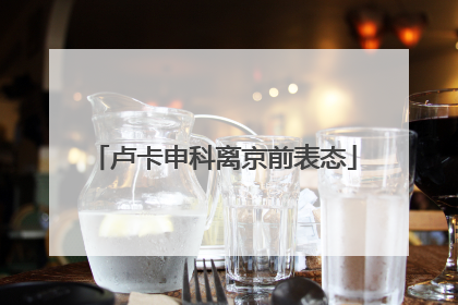 卢卡申科离京前表态