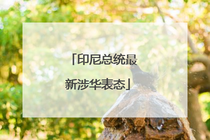 印尼总统最新涉华表态