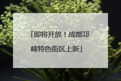 即将开放！成都邛崃特色街区上新