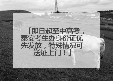 即日起至中高考，泰安考生办身份证优先发放，特殊情况可送证上门！