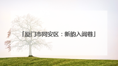 厦门市同安区：新韵入闾巷