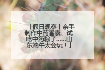假日观察丨亲手制作中药香囊、试吃中药粽子……山东端午太会玩！