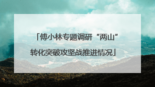 傅小林专题调研“两山”转化突破攻坚战推进情况