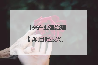 兴产业强治理 抓项目促振兴