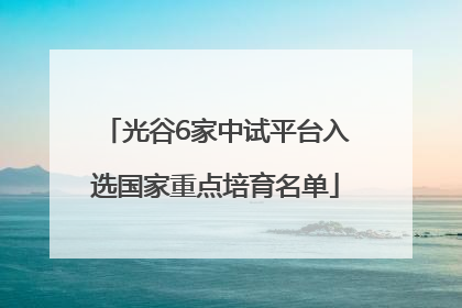 光谷6家中试平台入选国家重点培育名单