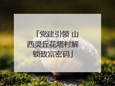 党建引领 山西灵丘花塔村解锁致富密码