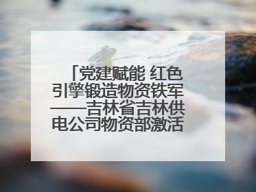 党建赋能 红色引擎锻造物资铁军——吉林省吉林供电公司物资部激活供应链新动能
