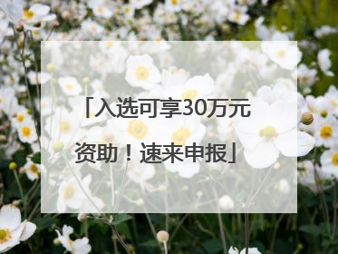 入选可享30万元资助！速来申报