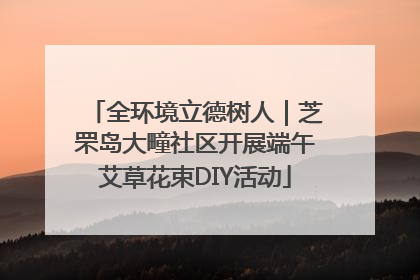 全环境立德树人｜芝罘岛大疃社区开展端午艾草花束DIY活动