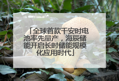 全球首款千安时电池率先量产，海辰储能开启长时储能规模化应用时代